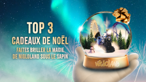 Top 3 des cadeaux de Noël !